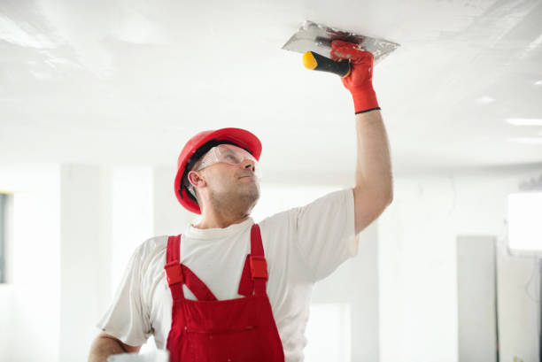 Best Water-Damaged Drywall Repair  in Beacon Square, FL